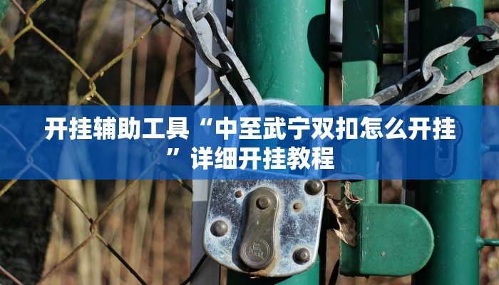 开挂辅助工具“旺旺江苏麻将开挂神器”详细开挂教程