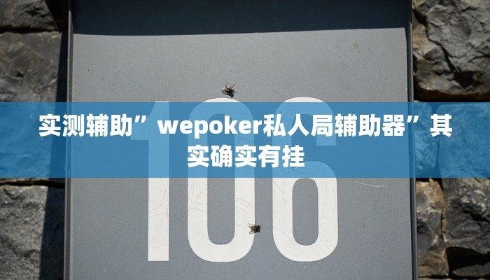 辅助神器“越乡游绍兴麻将可以开挂吗”详细开挂教程