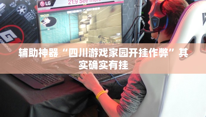 辅助神器“腾达填大坑透视挂”详细开挂教程