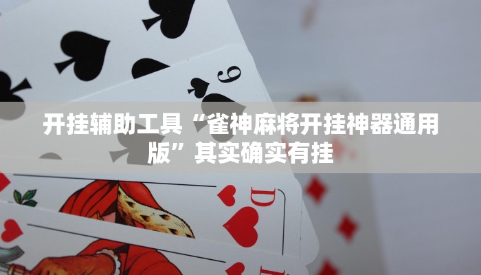 辅助神器“皮皮跑胡子究竟有没有挂”其实确实有挂