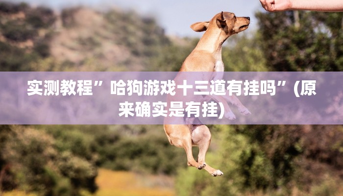 辅助神器“天天十三水怎么开挂”其实确实有挂