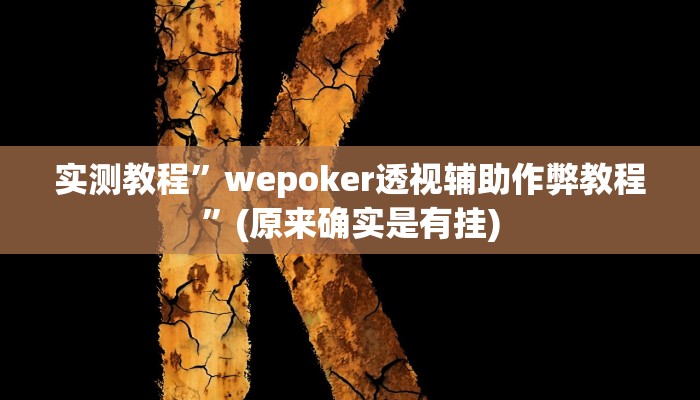 实测教程”wepokerplus开挂透视下载”(原来确实是有挂)