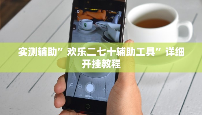 开挂辅助工具“熊猫竞技有挂吗可以开挂吗”其实确实有挂