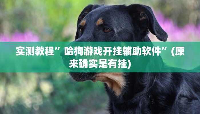 实测教程”聚友麻将有挂吗”(原来确实是有挂)