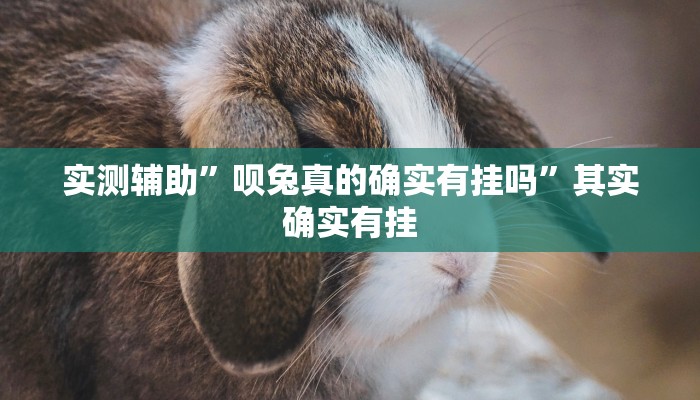 实测教程”HHPoKer透视开挂作弊”(原来确实是有挂)