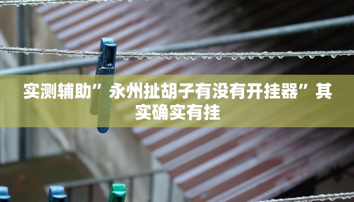 辅助神器“灵尊大厅作弊挂下载”详细开挂教程