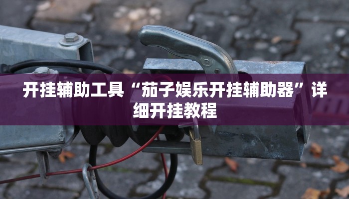 开挂辅助工具“开心联盟作弊软件”详细开挂教程