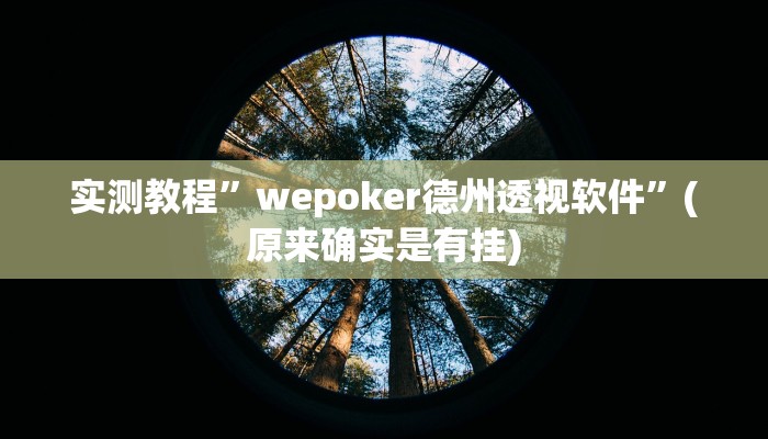 实测教程”wepoker德州透视软件”(原来确实是有挂)