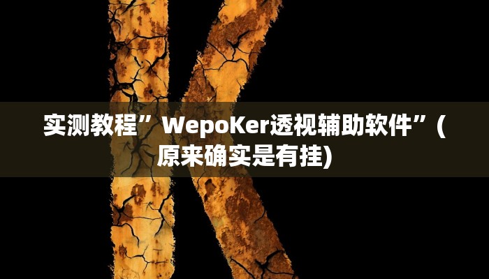 实测教程”WepoKer透视辅助软件”(原来确实是有挂)