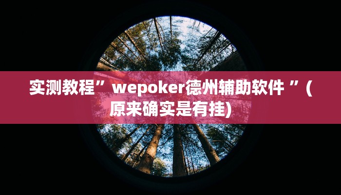 实测教程”wepoker德州辅助软件 ”(原来确实是有挂)