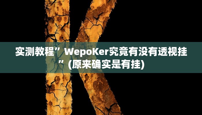 实测教程”WepoKer究竟有没有透视挂”(原来确实是有挂)