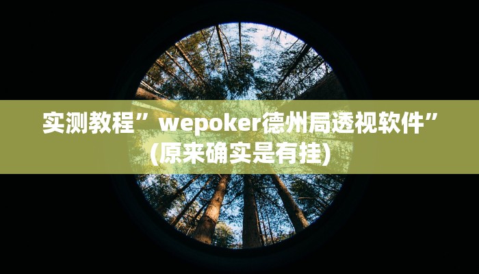 实测教程”wepoker德州局透视软件”(原来确实是有挂)