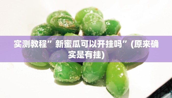 实测教程”新蜜瓜可以开挂吗”(原来确实是有挂)