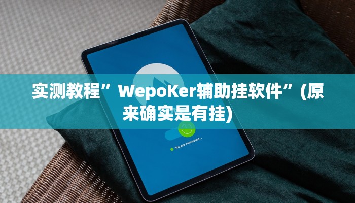 实测教程”WepoKer辅助挂软件”(原来确实是有挂)