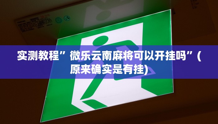 实测教程”相约十三水开挂辅助器”(原来确实是有挂)