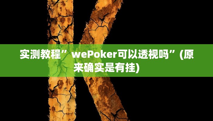 实测教程”wePoker可以透视吗”(原来确实是有挂)