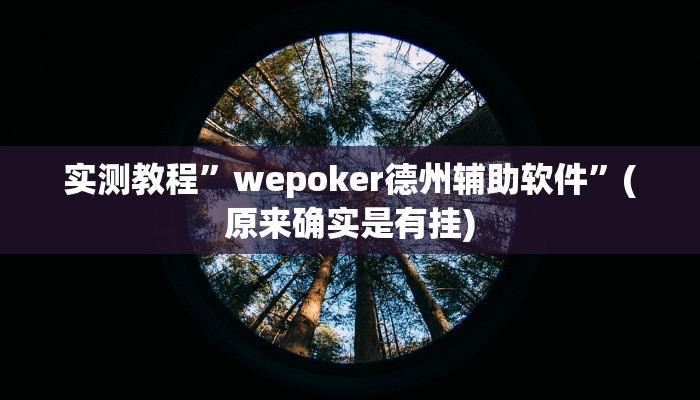 实测教程”wepoker德州辅助软件”(原来确实是有挂)
