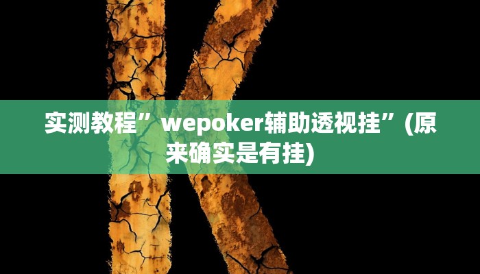 实测教程”wepoker辅助透视挂”(原来确实是有挂)