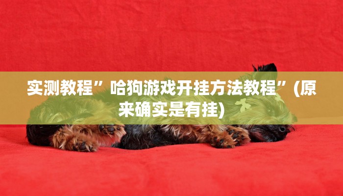 实测教程”哈狗游戏开挂方法教程”(原来确实是有挂)
