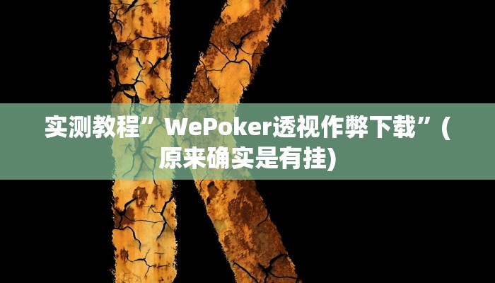 实测教程”WePoker透视作弊下载”(原来确实是有挂)