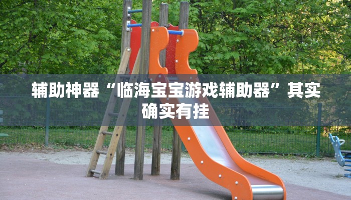 辅助神器“临海宝宝游戏辅助器”其实确实有挂