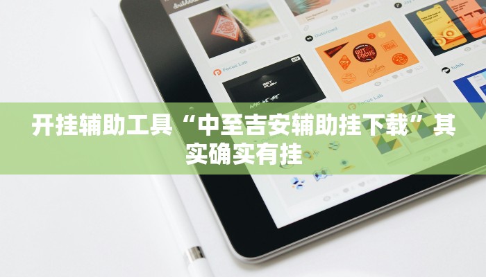 开挂辅助工具“中至吉安辅助挂下载”其实确实有挂