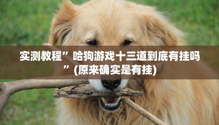 实测教程”哈狗游戏十三道到底有挂吗”(原来确实是有挂)