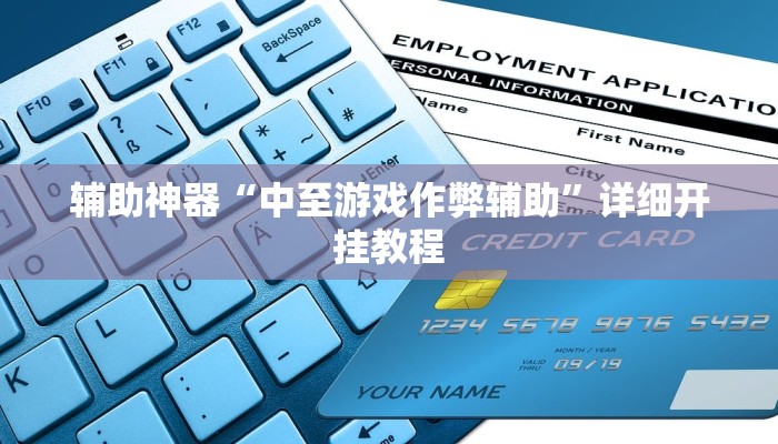 辅助神器“中至游戏作弊辅助”详细开挂教程