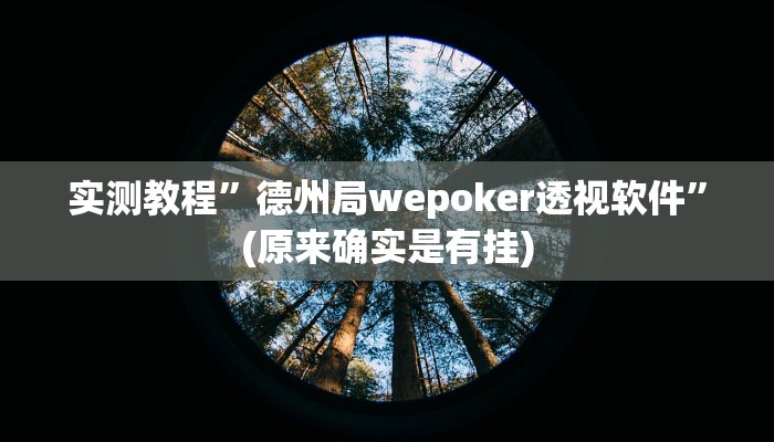 实测教程”德州局wepoker透视软件”(原来确实是有挂)