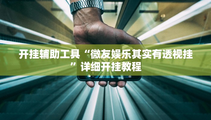 开挂辅助工具“微友娱乐其实有透视挂”详细开挂教程