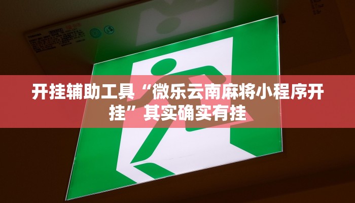 开挂辅助工具“微乐云南麻将小程序开挂”其实确实有挂