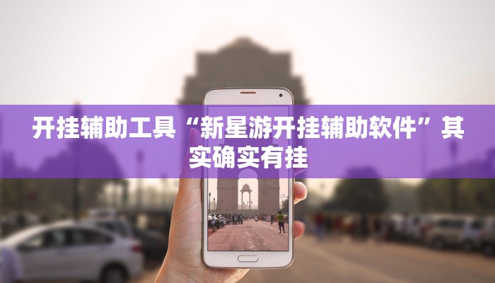 开挂辅助工具“新星游开挂辅助软件”其实确实有挂