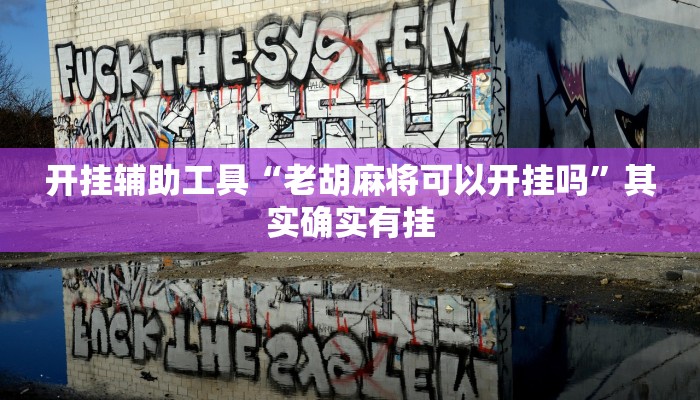 开挂辅助工具“老胡麻将可以开挂吗”其实确实有挂