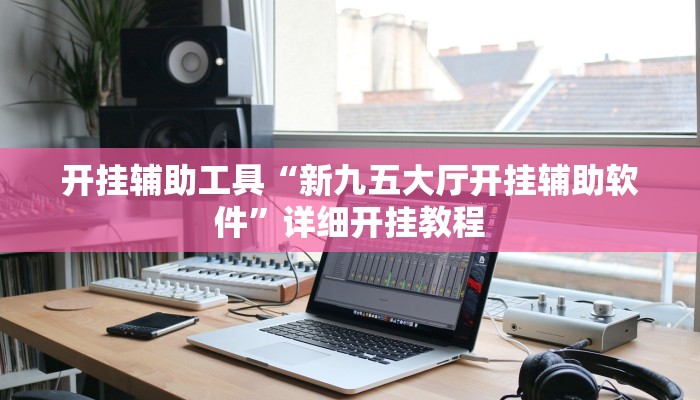 开挂辅助工具“新九五大厅开挂辅助软件”详细开挂教程