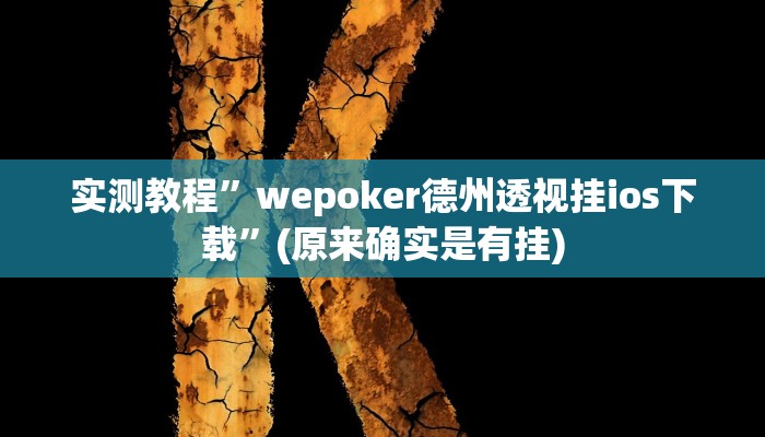 开挂辅助工具“微乐家乡麻将万能开挂器”详细开挂教程
