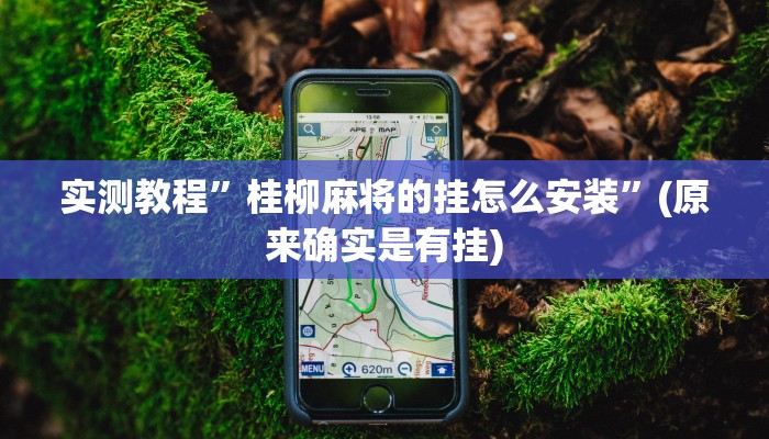 开挂辅助工具“喜扣打筒子是不是有挂”其实确实有挂
