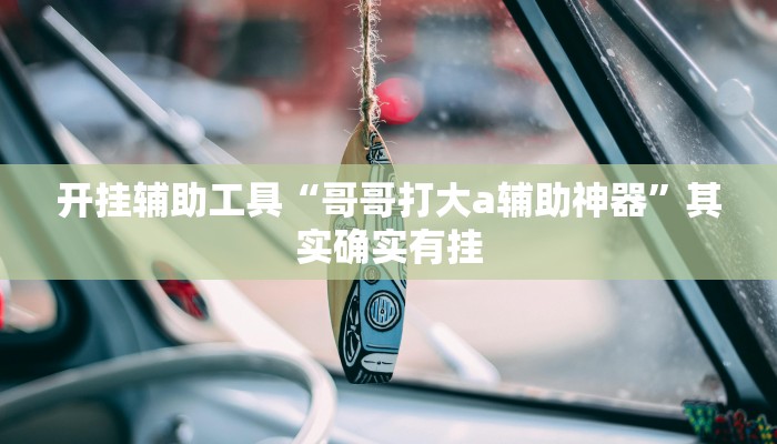 开挂辅助工具“哥哥打大a辅助神器”其实确实有挂