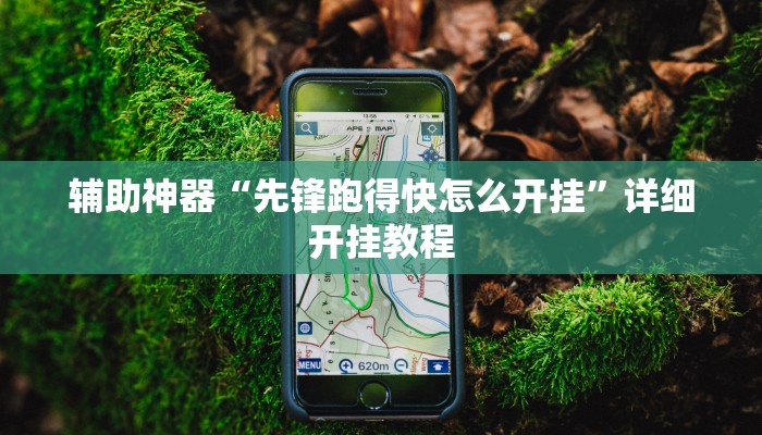 辅助神器“先锋跑得快怎么开挂”详细开挂教程