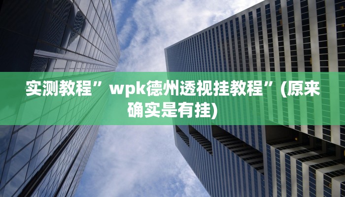 实测教程”wpk德州透视挂教程”(原来确实是有挂)