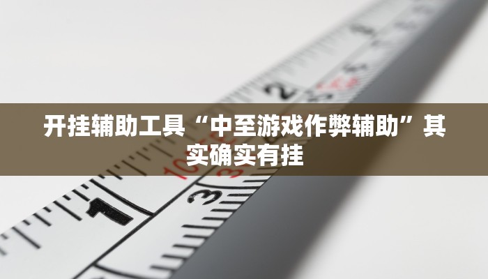 开挂辅助工具“中至游戏作弊辅助”其实确实有挂