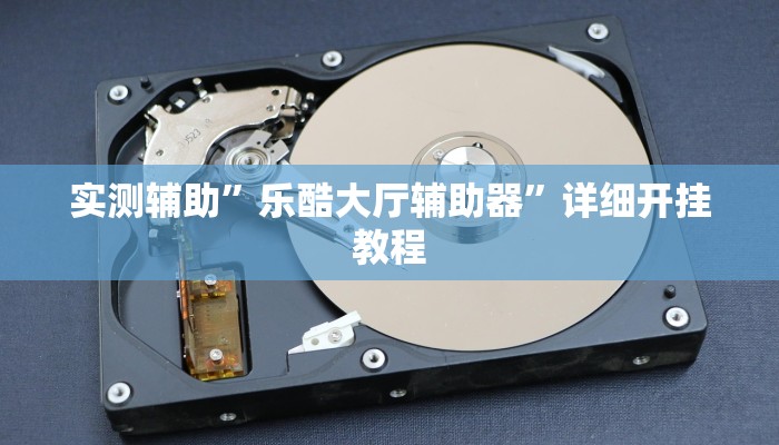 实测辅助”乐酷大厅辅助器”详细开挂教程