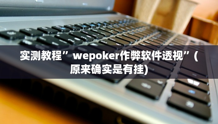 实测教程”wepoker作弊软件透视”(原来确实是有挂)