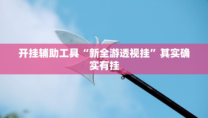 开挂辅助工具“新全游透视挂”其实确实有挂