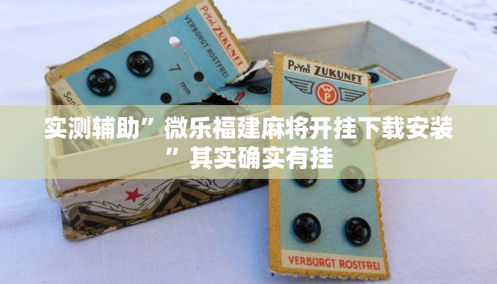 实测辅助”微乐福建麻将开挂下载安装”其实确实有挂