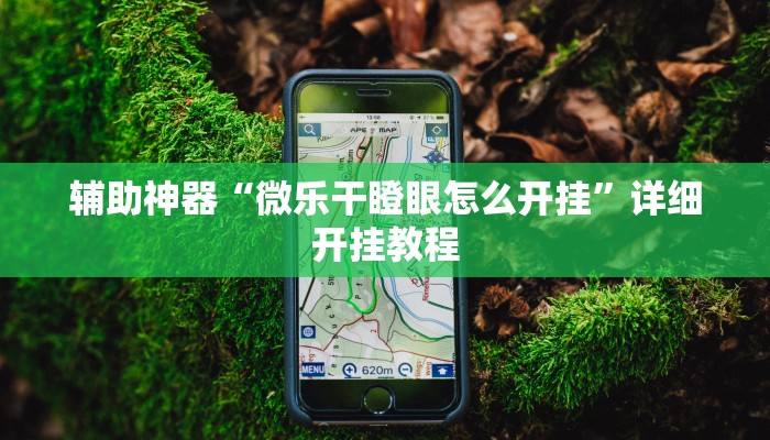辅助神器“微乐干瞪眼怎么开挂”详细开挂教程