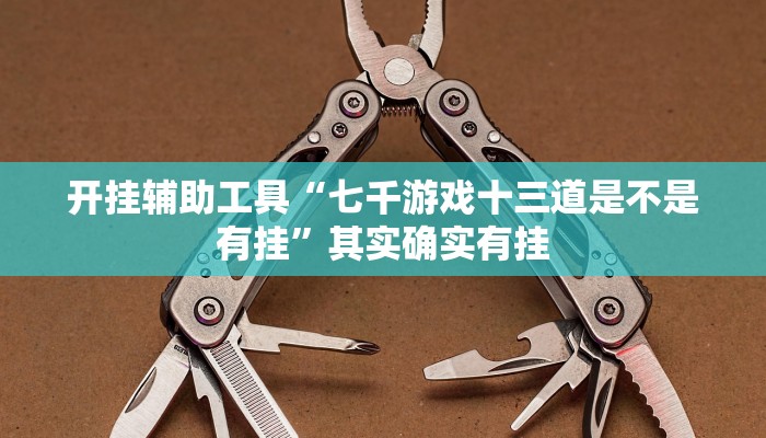 开挂辅助工具“七千游戏十三道是不是有挂”其实确实有挂