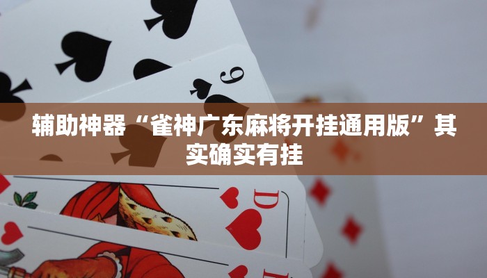 辅助神器“雀神广东麻将开挂通用版”其实确实有挂