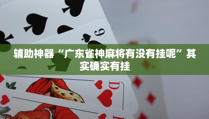 辅助神器“广东雀神麻将有没有挂呢”其实确实有挂