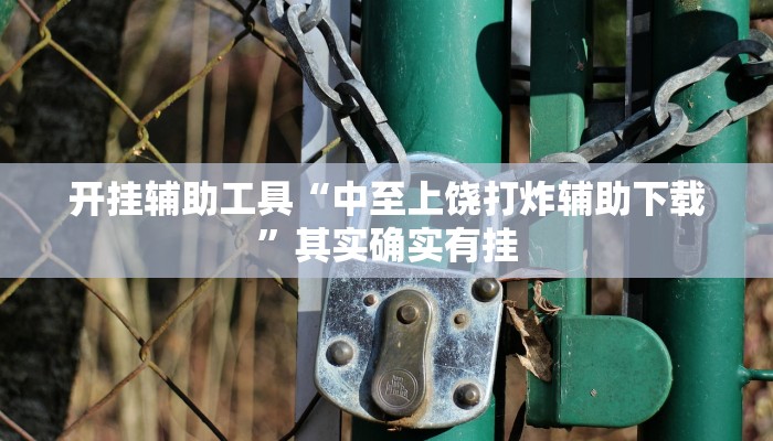 开挂辅助工具“中至上饶打炸辅助下载”其实确实有挂