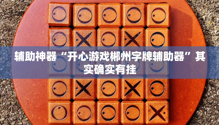 辅助神器“开心游戏郴州字牌辅助器”其实确实有挂